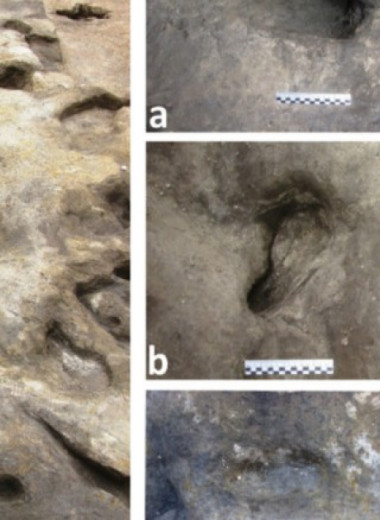 В Шёнингене обнаружили 300-тысячелетние следы ног вымерших людей