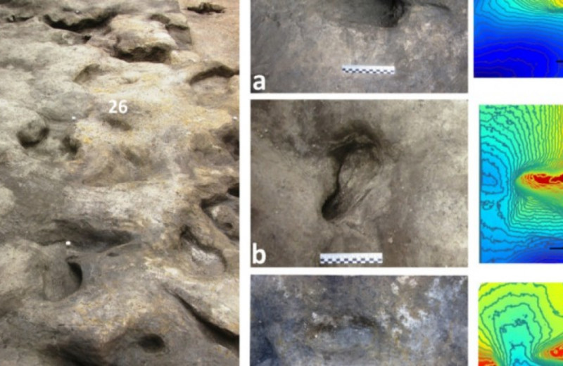 В Шёнингене обнаружили 300-тысячелетние следы ног вымерших людей