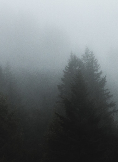 Как отличить туман от смога: простые признаки, которые вы не перепутаете