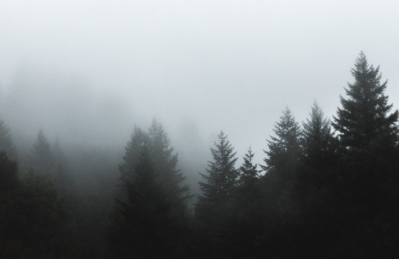 Как отличить туман от смога: простые признаки, которые вы не перепутаете