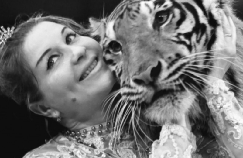 Укротительница тигров Маргарита Назарова: трагедия советской циркачки