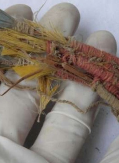 Древние индейцы ичсма поставляли живых попугаев из Амазонии