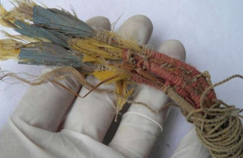 Древние индейцы ичсма поставляли живых попугаев из Амазонии