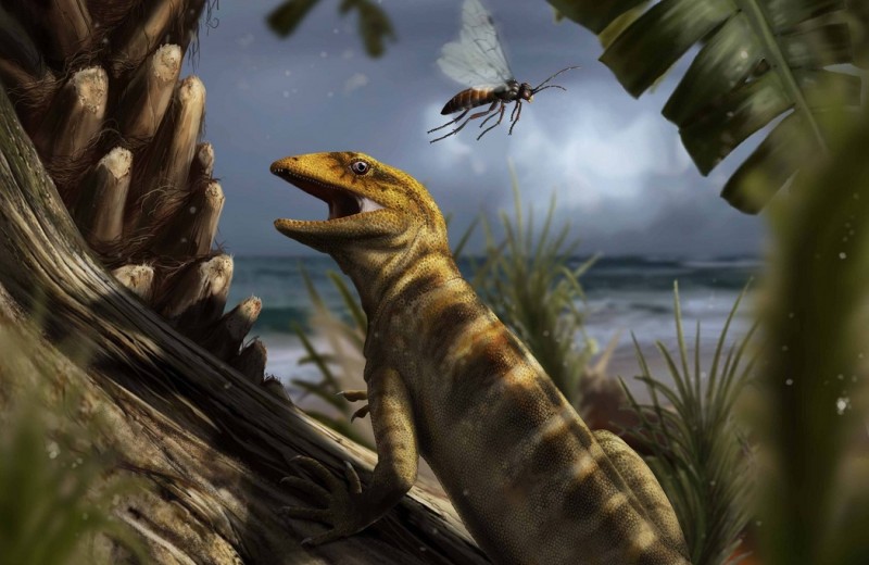 Общий предок ящериц и змей оказался старше на 75 миллионов лет!