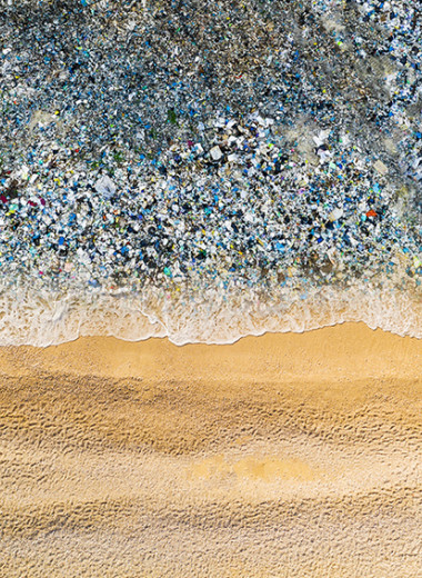 Недостаточно голубая лагуна: что делать, чтобы остановить загрязнение Мирового океана