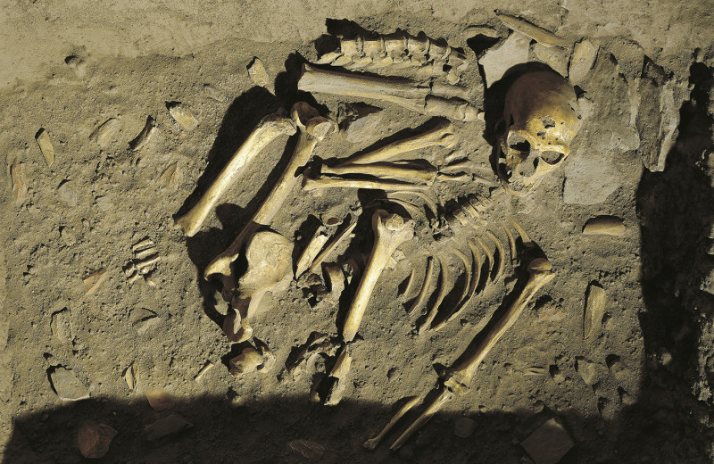 ДНК вымерших: как кости неандертальцев принесли биологу Нобелевскую премию