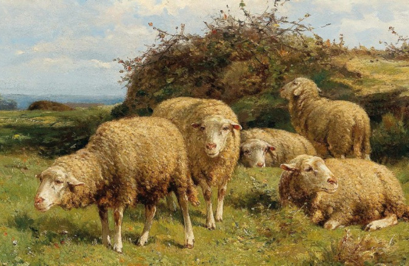 Жители южного побережья Каспия променяли газелей и тюленей на коз и овец уже в VIII тысячелетии до нашей эры