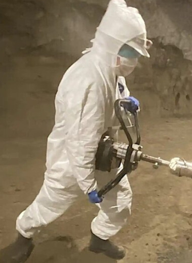 Ученые нашли 26 неизвестных видов микробов, замороженных на Аляске 40 000 лет