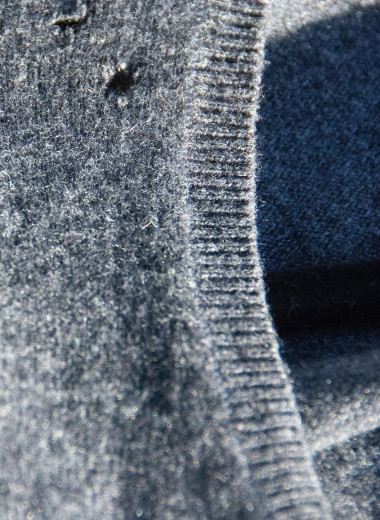 Поговорим о наболевшем: откуда в шкафах берется моль и как от нее избавиться