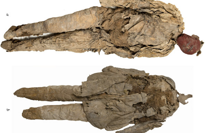 Внутри таштыкской погребальной куклы обнаружили останки взрослого мужчины