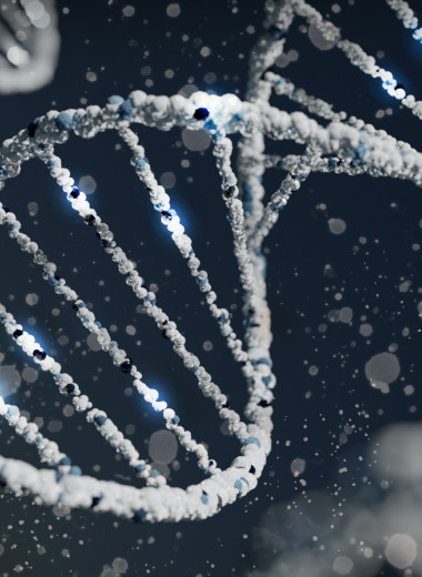Палеогенетики впервые прочитали полный геном помпейца