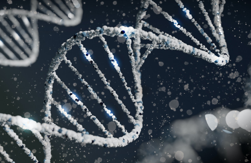 Палеогенетики впервые прочитали полный геном помпейца