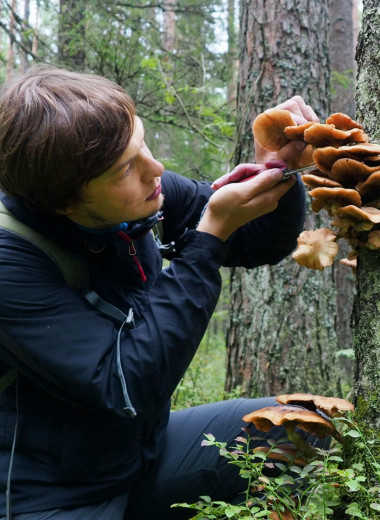 7 лайфхаков, чтобы не отравиться грибами