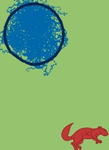 Дымчатые мангабеи поели огненноногих белок и заразились оспой обезьян