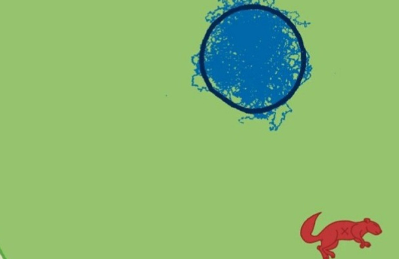 Дымчатые мангабеи поели огненноногих белок и заразились оспой обезьян