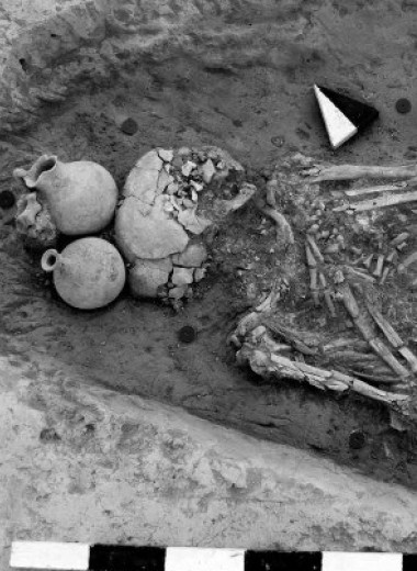 Палеогенетики не нашли свидетельств миграции в древний ближневосточный центр Алалах