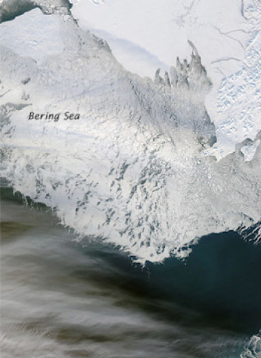 Берингово море потеряло рекордное количество зимнего льда за последние 5,5 тысячи лет