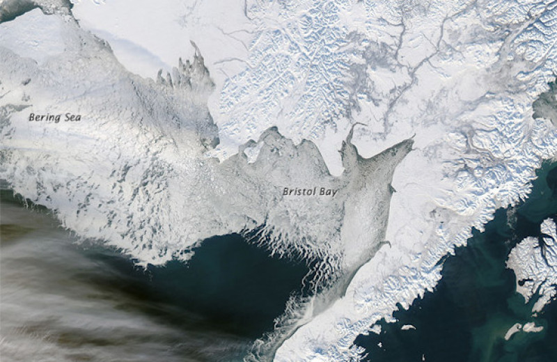 Берингово море потеряло рекордное количество зимнего льда за последние 5,5 тысячи лет