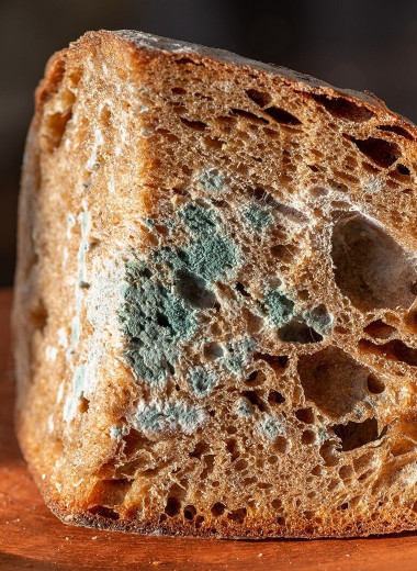 Что будет, если съесть хлеб с плесенью?
