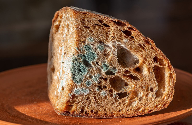 Что будет, если съесть хлеб с плесенью?