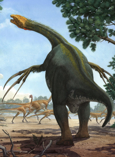 Фрики Юрского периода: 10 динозавров, в существование которых сложно поверить