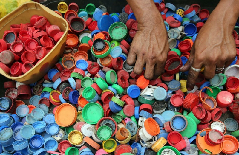 Могут ли микробы, поедающие пластик, решить проблему утилизации