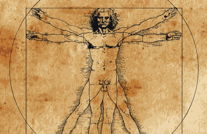 Ликбез: все мифы и научные факты о мужском организме
