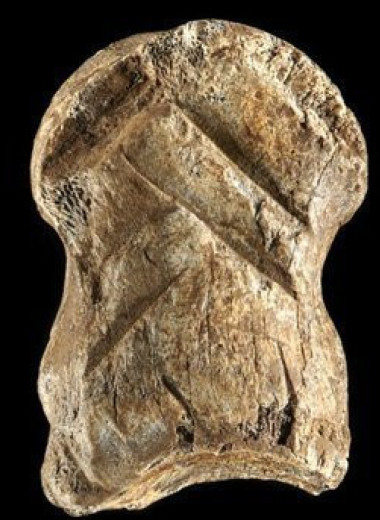 Сделанная неандертальцем гравировка впечатлила ученых