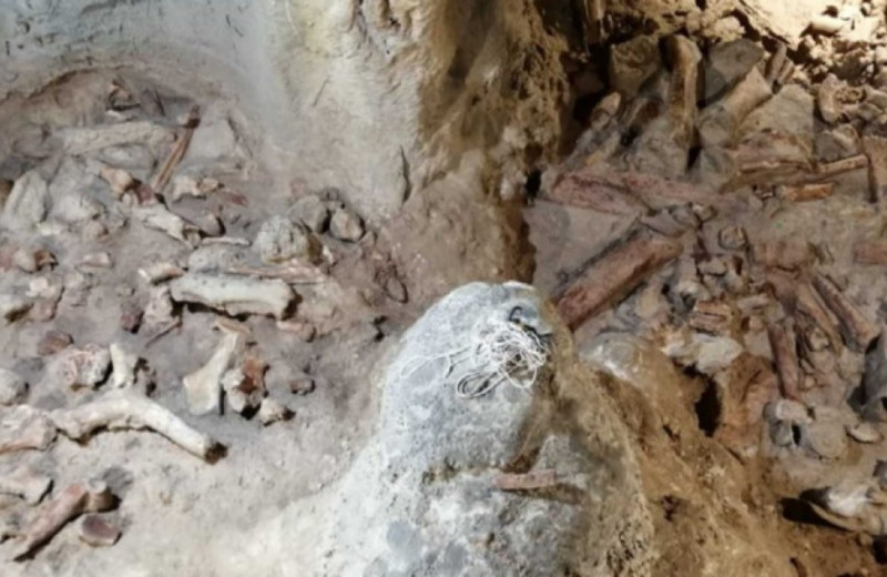 Гиены из грота Гауттари погрызли неандертальские кости около 66-65 тысяч лет назад