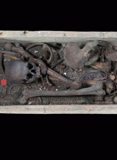 Анализ ДНК подтвердил подлинность останков Оттона Великого и Генриха Святого