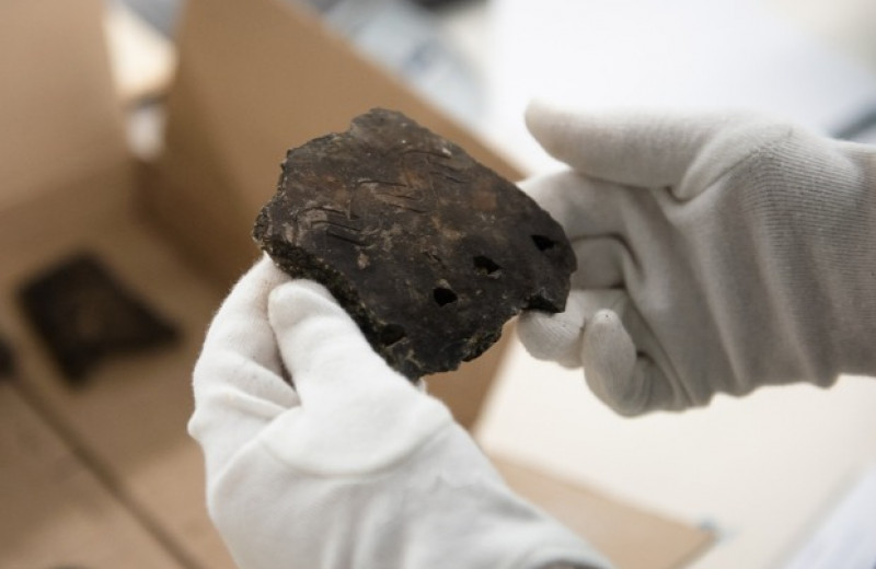 Томские археологи нашли редкую кость эпохи неолита с вырезанным лицом человека