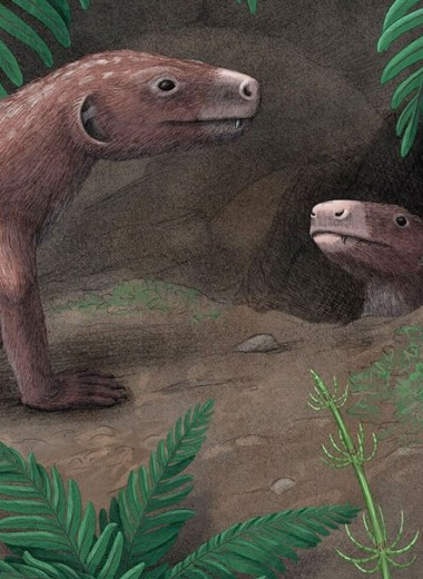 250-миллионная окаменелость показала, как возник слух у предков млекопитающих