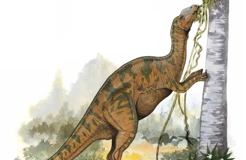 У гадрозавра из Канады обнаружили редкую форму рака