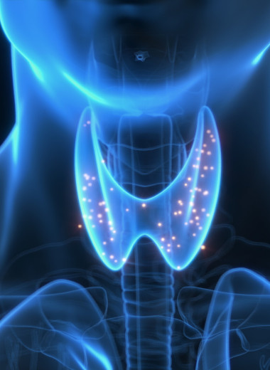 Неочевидная болезнь, которая может вас убить: когда нужно проверить функцию щитовидной железы