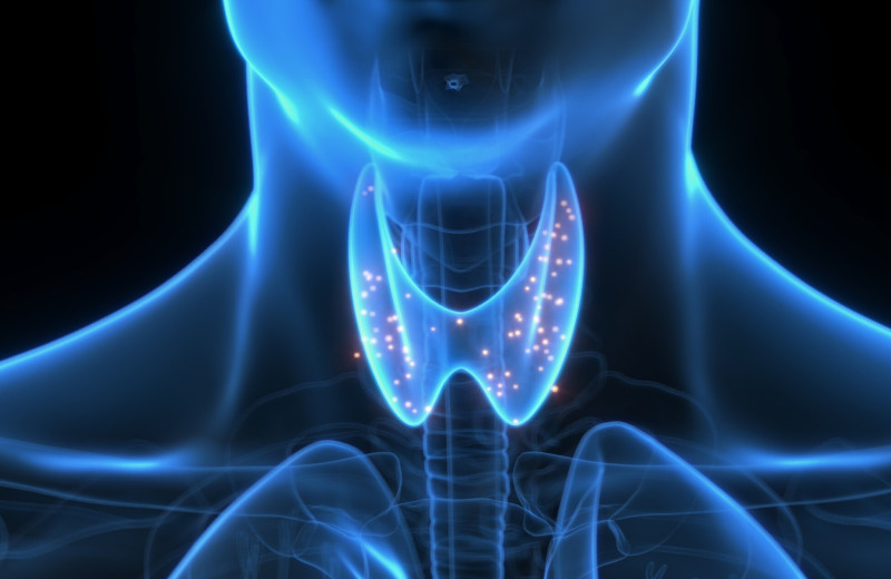 Неочевидная болезнь, которая может вас убить: когда нужно проверить функцию щитовидной железы