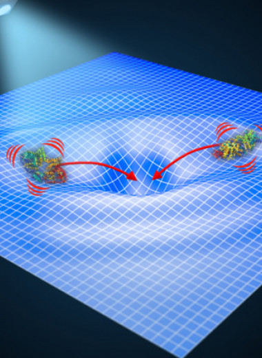 Физики обнаружили притяжение между биомолекулами на расстоянии ста нанометров