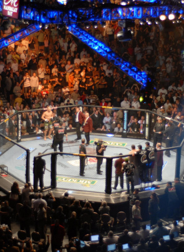 10 убойных фактов про MMA