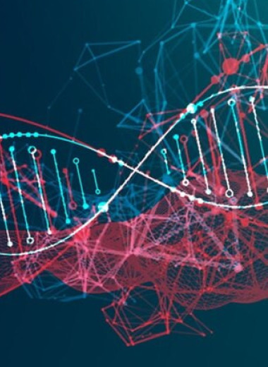 Анализ ДНК показал, что человек очень быстро менялся последние 10 тысяч лет