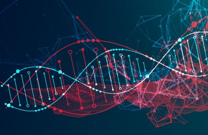 Анализ ДНК показал, что человек очень быстро менялся последние 10 тысяч лет