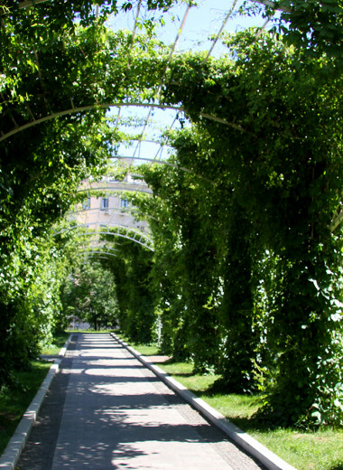 Летняя читальня и вишни Льва Толстого: 5 секретных садов в центре Москвы