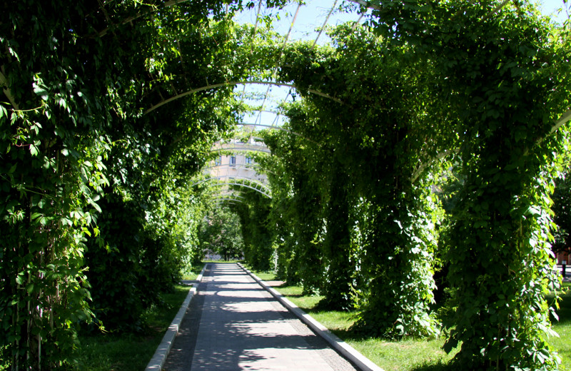Летняя читальня и вишни Льва Толстого: 5 секретных садов в центре Москвы