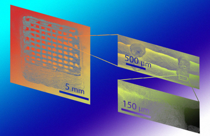 Биоразлагаемый суперконденсатор напечатали на 3D-принтере