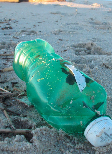 Как океаны избавляются от миллионов тонн пластикового мусора: планета против человека