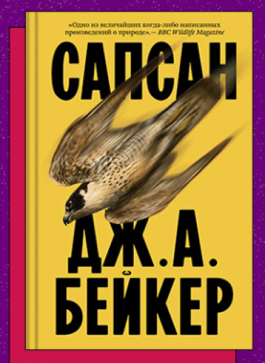 «Сапсан»