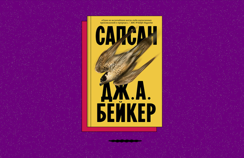 «Сапсан»