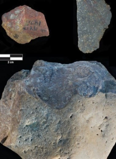 Появление олдованской культуры удревнили до 3,2-3 миллионов лет назад