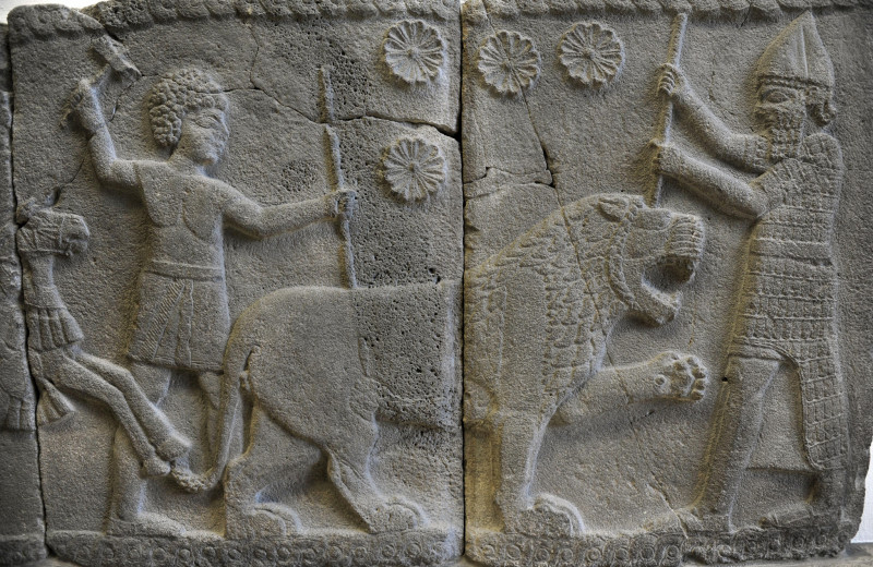 Почему погибла империя хеттов? Вот что ответил археологам можжевельник из Турции