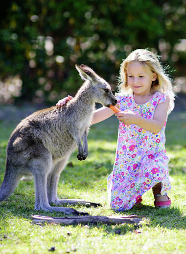 «Быть, принадлежать, становиться»: как воспитывают детей в Австралии