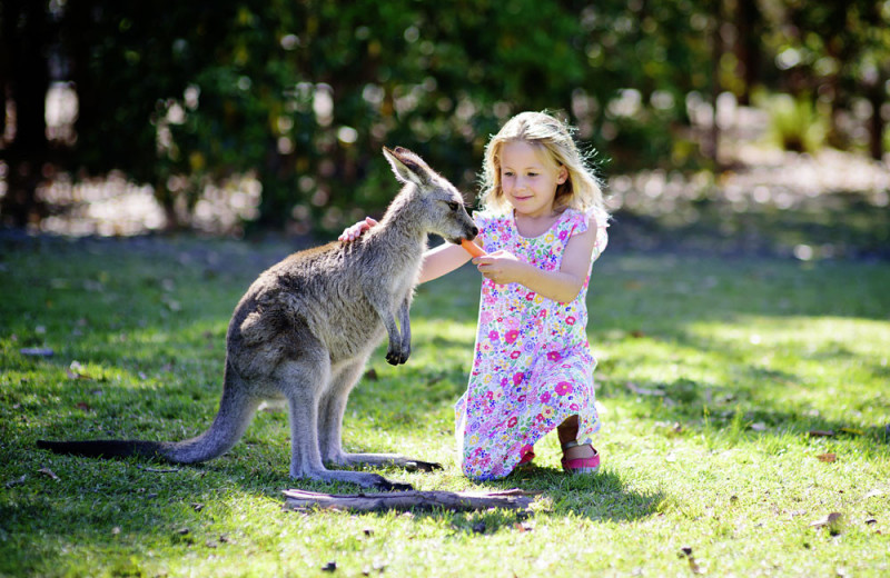 «Быть, принадлежать, становиться»: как воспитывают детей в Австралии