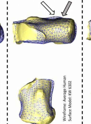 Палеоантропологи обнаружили в Колыбели человечества пяточную кость гоминина
